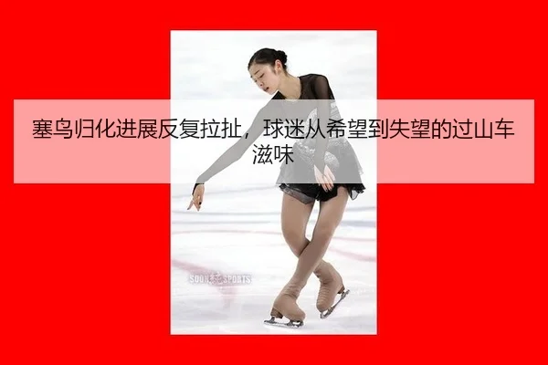 塞鸟归化进展反复拉扯，球迷从希望到失望的过山车滋味